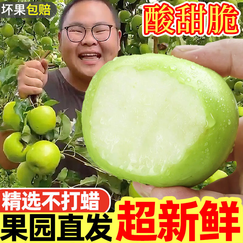 山西新鲜脆甜青苹果9斤