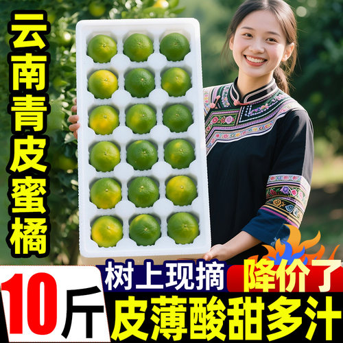 云南青皮蜜橘10斤当季酸甜蜜桔