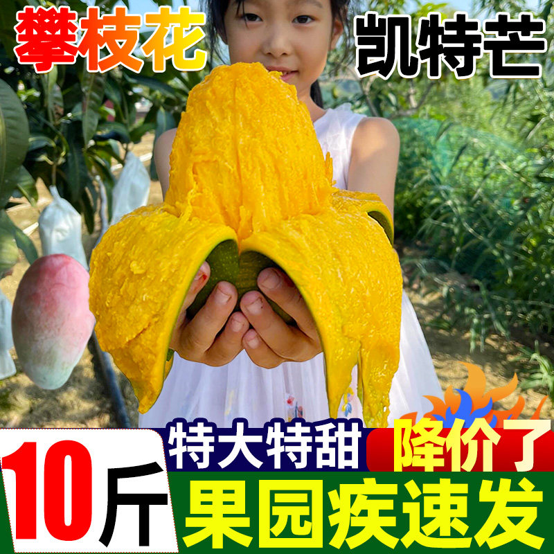 攀枝花凯特超甜现摘芒果10斤装