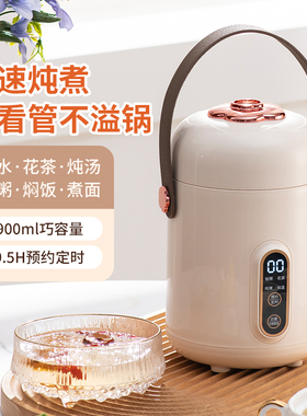 电炖锅小型多功能小炖锅电煮锅煲汤煮面煮粥神器家用上班族电炖盅
