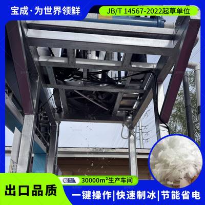 宝成片冰机厂家超市火锅店自助餐食品加工用冰片制冰机1至30吨