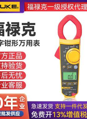 F303数字钳型电流表303/305/312/317数字钳式电流表