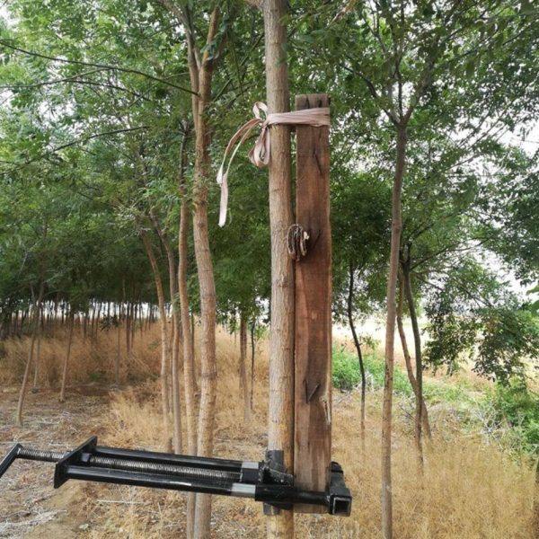 树木直弯器苗木矫正器国槐调直器树木拉直机纠正固定神器园林工具,五金/工具,顶切钳,淘宝优惠券,粉丝福利购,淘宝优惠卷