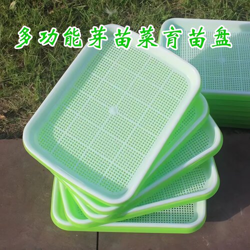 【加厚加大】育苗盘盆芽苗菜水培