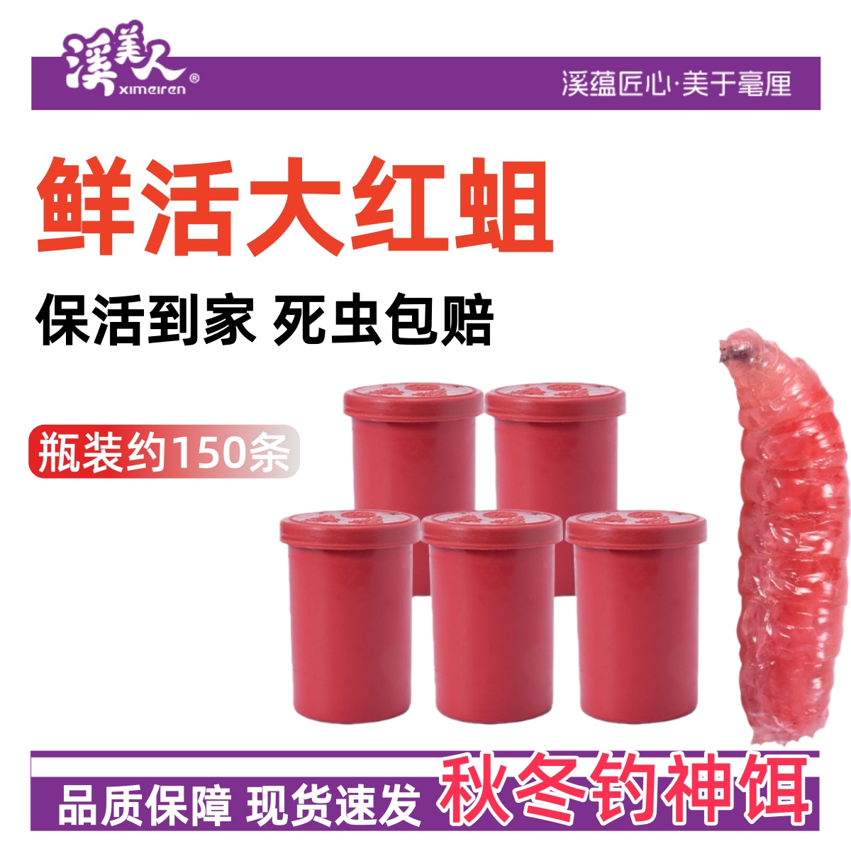 鲜活红蛆虫活饵鱼饵野钓神饵户外野钓饵料溪流河流爆护饵红曲虫