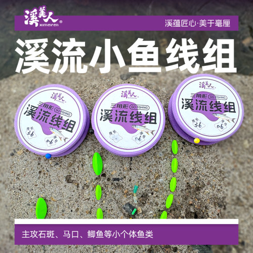 溪美人高灵敏一粒漂三粒漂线组