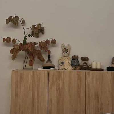 全实木收纳吊柜墙壁柜墙上落地置物架壁挂式书架墙面储物柜带门