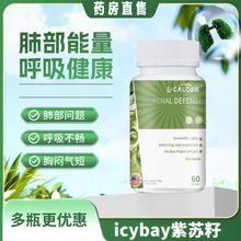 肺宝搭icybay紫苏籽胶囊辅助肺部调理养护清部保养