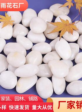 白色抛光鹅卵石 南京雨花石庭院造景观抛光石头工程装饰石子