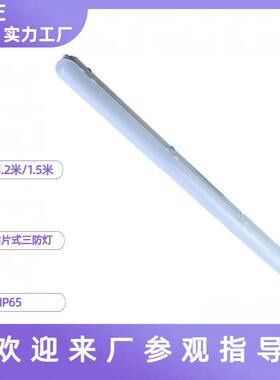 SMD贴片式LED三防灯 60W大功率三防灯具 1.5米PC防水三防灯外壳