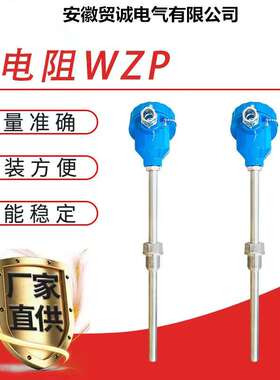 供应WZPK2-398铠装热电阻pt100  -200~500（℃）A/B级 热工仪表