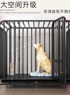 全方管狗笼子大型犬中型带厕所分离室内金毛边牧拉布拉多专用特大