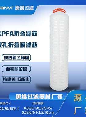 工业级全PFA折叠滤芯 高精度耐腐蚀过滤 半导体级洁净 高温耐酸碱