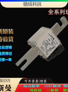 巴斯曼170M3259 170M3260 170M3261 厂家原装出厂价格 快速保险丝