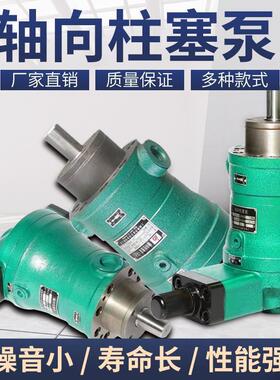 启东柱塞泵10/16/25/40/63/80/100/160/250YCY14-1B轴向高压油泵