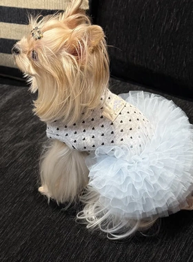 【梦境海豚湾】春秋狗狗裙子爱心波点蓬蓬纱裙马尔济斯约夏克比熊