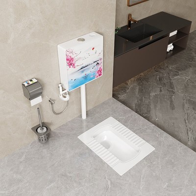 家用陶瓷蹲便器蹲坑式冲水箱整套装大便器卫生间防臭蹲厕便池便盆