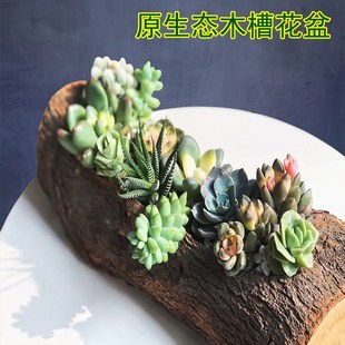 花盆丨 老木头花盆 花盆2022新款网红 长条形花盆 木盆 长形花盆