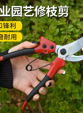 刘盛p-v8修枝剪刀果树剪粗枝剪家用手剪花剪园林剪枝剪工具