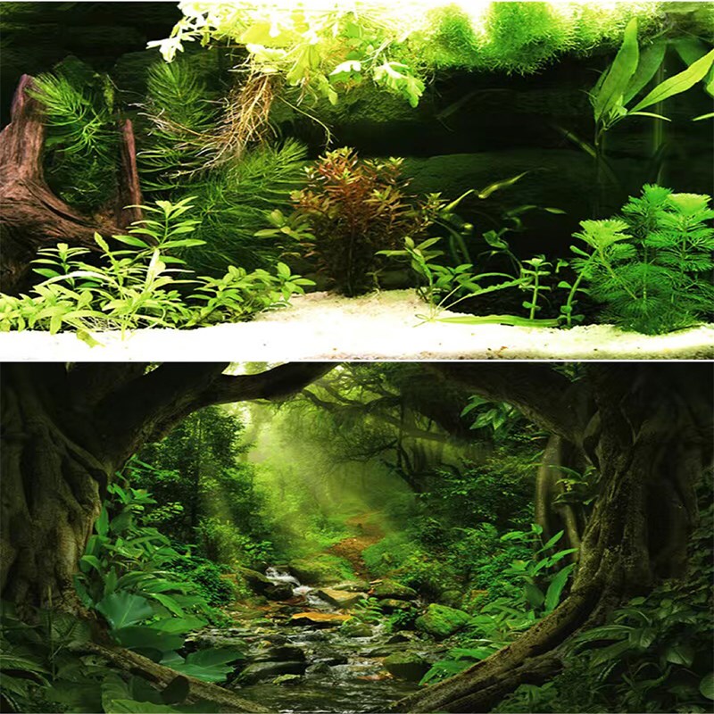 鱼缸背景贴纸壁纸高清3d立体鱼缸背景纸水族箱造景外贴雨林装饰画