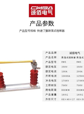 诚佰跌落式熔断器HRW5-35KV户外柱上开关40.5KV令克开关直销