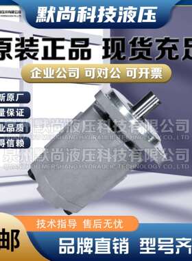 合肥赛源 铝合金齿轮泵CBG2040/2050/2063/2080/2100-BF 液压油泵