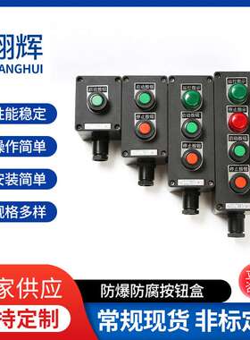防腐按钮盒BZ8050-A2D1/A2D2/A3G,主令控制器，按钮开关盒防护