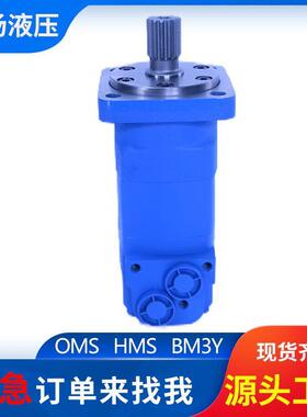 BM5-800摆线马达 OMS-315扫雪车滚刷盘配流马达 低速大扭矩马达