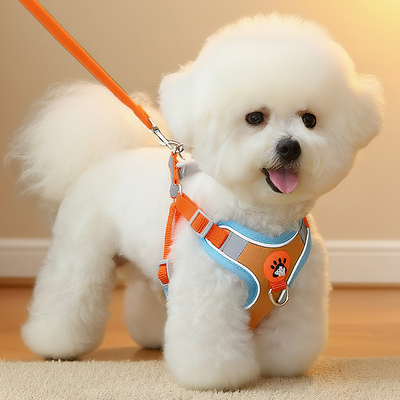 背心式狗狗牵引绳小型犬泰迪比熊博美幼犬胸背带宠物狗链子遛狗绳