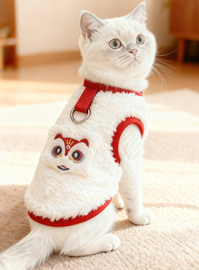 2025新猫咪衣服秋冬装保暖防掉毛马甲宠物狗狗比熊小猫德文猫衣服