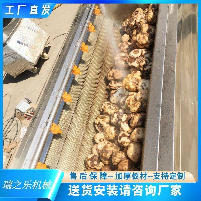 商用天麻黄精去皮清洗机直供中草药黄精毛刷清洗去皮机人参清洗机