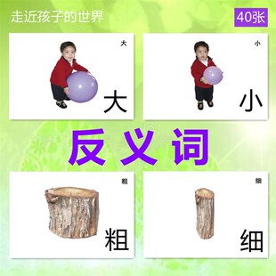 反义词卡片 自闭症儿童语言发育康复训练益智孤独症干预教具玩具