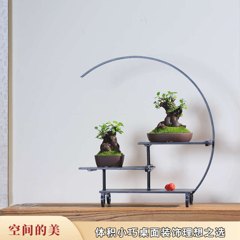 矮霸雀梅老桩盆景室内植物客厅旺宅绿植茶室书桌办公室迷你盆栽