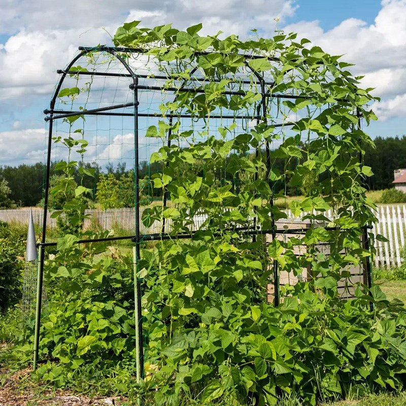 黄瓜爬藤架园艺种菜支架植物藤架攀爬室外葡萄架子户外庭院支撑杆