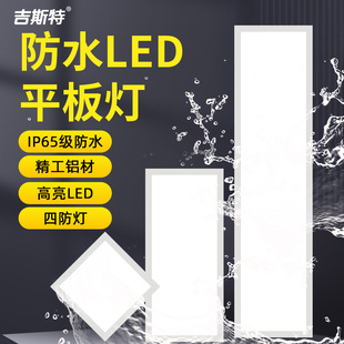 阳台吸顶灯嵌入式 长条灯 室外平板灯浴室桑拿房阳光房专用户外明装