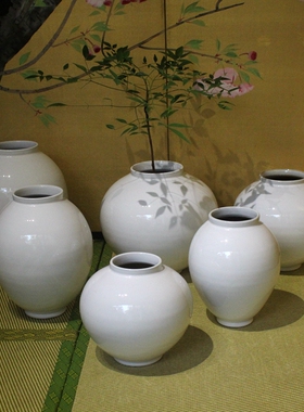 设计感诧寂风新中式禅茶空间桌面家居摆件可种植物陶罐陶瓷月亮罐