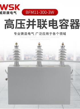 BAM、BFM全膜高压并联电容器BFM6.3. 6.6. 11.12-100-1W 三相高压