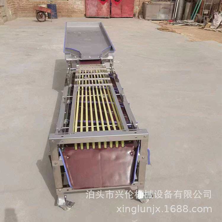 橙子选果机 李子分级机 核桃分拣机 樱桃分选机 脐橙分级设备