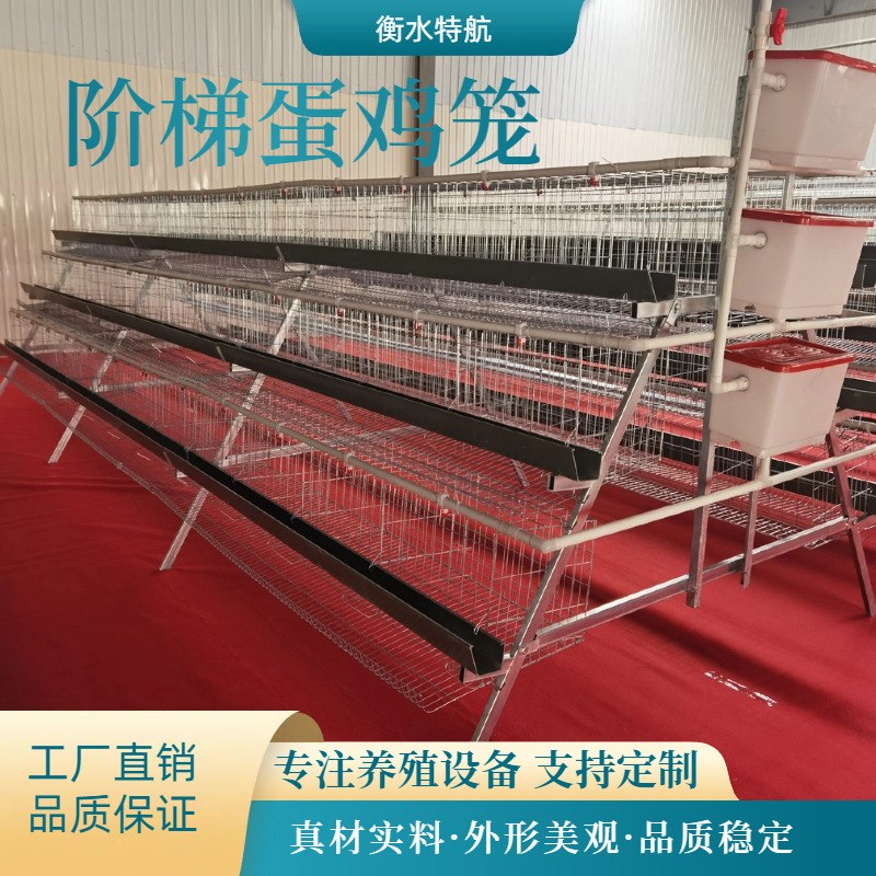 阶梯式蛋鸡笼A字型鸡笼子 养殖业养殖设备 三层四层鸡笼子