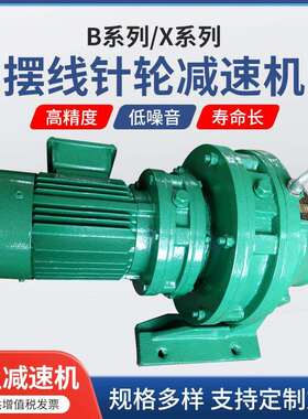 卧式BW摆线针轮减速机 微型XW针轮减速机 BWD13 XWED106 XWED53