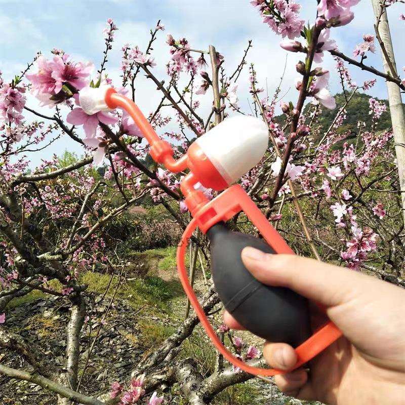 农用授粉器人工果树花粉桃树梨树番茄手动电动点花机传粉器