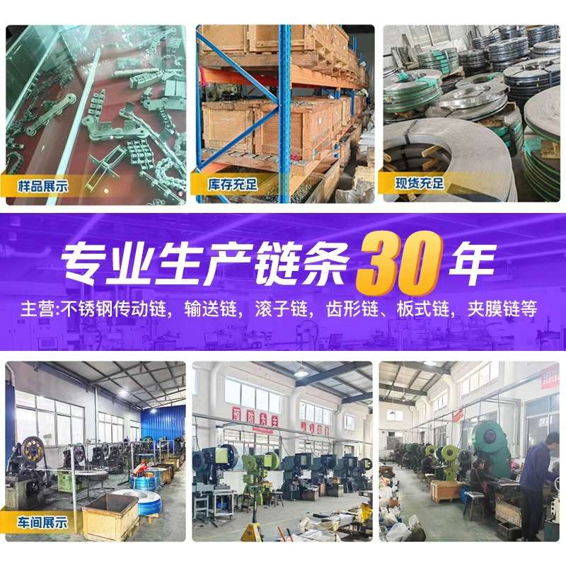 10B导轨夹膜链短节距滚子输送链 单排双排不锈钢传送链条板式链
