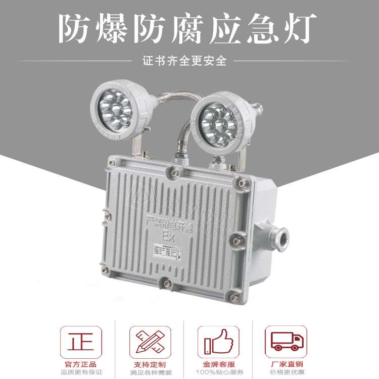 LED双头防爆应急灯12V24V2×5W2×10W应急90分120分180分应急长时