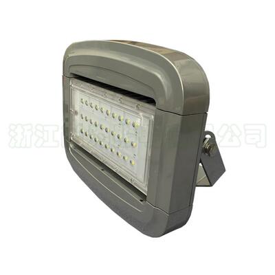 SZSW7250节能LED泛光灯 SW7250 60W80W小功率LED投光灯 SZSW7251