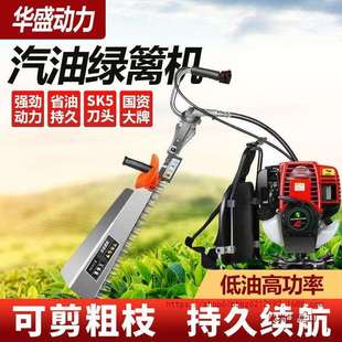 汽油修剪机华盛茶树修剪机绿 园林进口修剪机背负式 1435人收藏