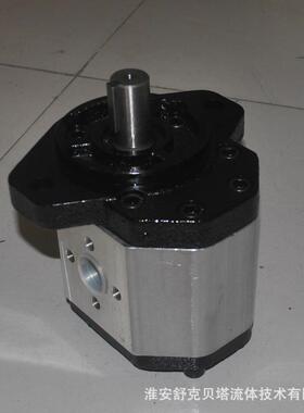 BHP2AOS22COL1系列齿轮泵