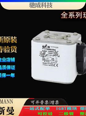 巴斯曼170M6595 170M6596 170M6597 大量现货厂价销售 快熔保险丝