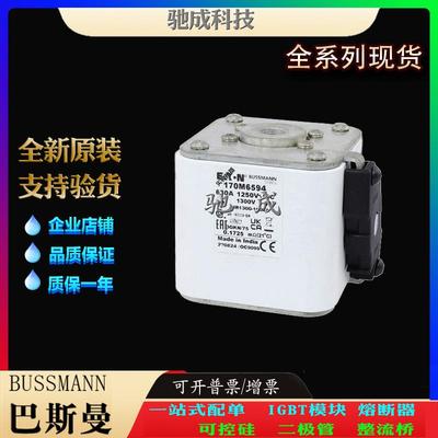 巴斯曼170M6595 170M6596 170M6597 大量现货厂价销售 快熔保险丝