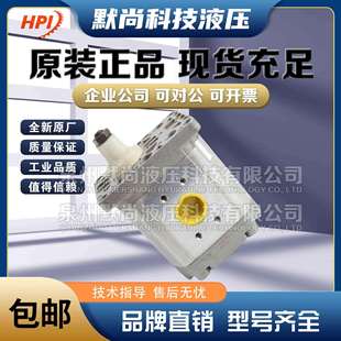 3025 3060 3031 3050 3071液压油泵 3040 法国HPI齿轮泵P3BAN3020