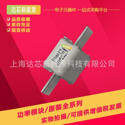 170M5758 170M5759 170M5760 170M5761 170M5762 170M5763熔断器